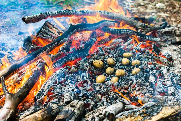 Doğada piknik. Ateşin üzerinde patates ve kebap pişiriyorum. Ateş dokusu. Kömür ve alevler. Macro film çekiyor. Izgara