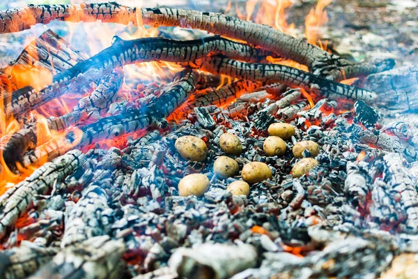 Picnic Nature Cooking Potatoes Kebabs Fire Fire Texture Coals Flames — Stock Photo, Image