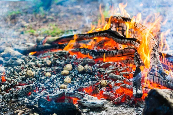 Picnic Nature Cooking Potatoes Kebabs Fire Fire Texture Coals Flames — Stock Photo, Image