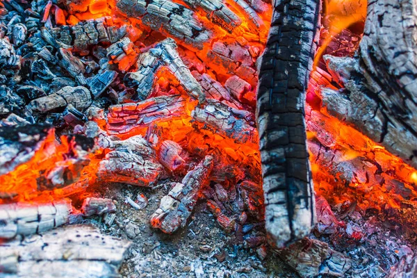 Picnic Nature Cooking Potatoes Kebabs Fire Fire Texture Coals Flames — Stock Photo, Image