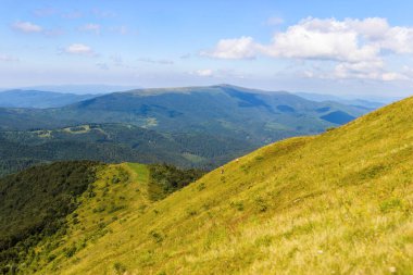 Karpatlar tarafından seyahat etmek. Polonyna Runa, Gostra ve diğer zirveler. Bahar, Yaz ve Sonbahar Karpatlar 'da dinleniyor. Yeşil, mavi renkler. Orman ve çayırlar