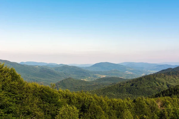 Karpatlar tarafından seyahat etmek. Polonyna Runa, Gostra ve diğer zirveler. Bahar, Yaz ve Sonbahar Karpatlar 'da dinleniyor. Yeşil, mavi renkler. Orman ve çayırlar