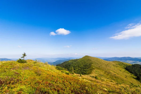 Karpatlar tarafından seyahat etmek. Polonyna Runa, Gostra ve diğer zirveler. Bahar, Yaz ve Sonbahar Karpatlar 'da dinleniyor. Yeşil, mavi renkler. Orman ve çayırlar