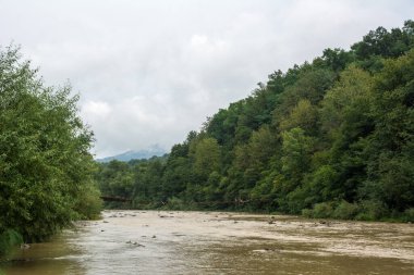Nehrin üzerindeki asma köprü yıkıldı. Tehlike. Su baskınları. Çevre tahribatı. Doğa, yeşil ağaçlar ve kirli kahverengi su. Eğlence için. Uzakta sis var