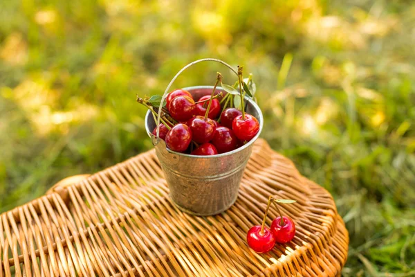 Rote Kirschen im Metalleimer auf Holzkorb - Sommerfrüchte — Stockfoto