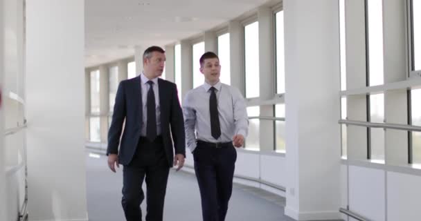 Empresários caminhando pelo escritório tendo uma reunião — Vídeo de Stock