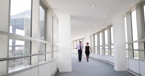 Επαγγελματικούς συνεργάτες περπατώντας μέσα από το γραφείο έχοντας μια συνάντηση — Αρχείο Βίντεο