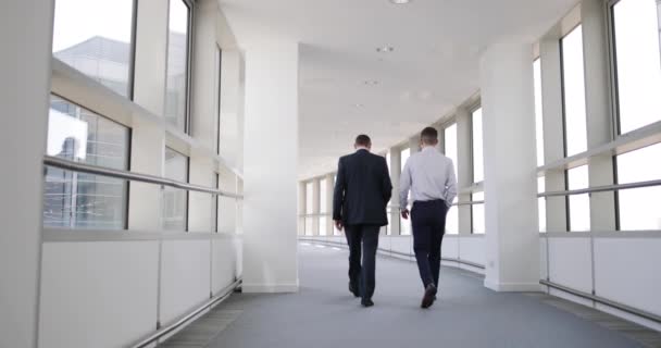 Businessmen walking away from camera — Stock Video
