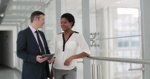 Kollegenporträt in einem modernen Büro — Stockvideo