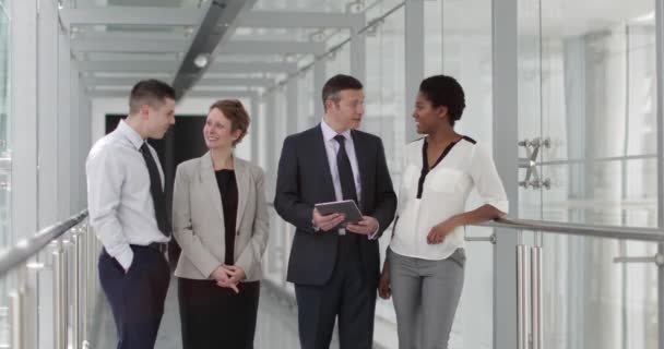 Kollegenporträt in einem modernen Büro — Stockvideo