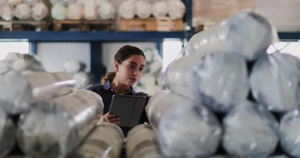 Kobieta Pracuje Magazyn Dystrybucyjny Cyfrowego Tabletu — Wideo stockowe