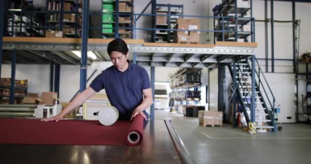 Tecido Corte Masculino Armazém Fabricação — Vídeo de Stock