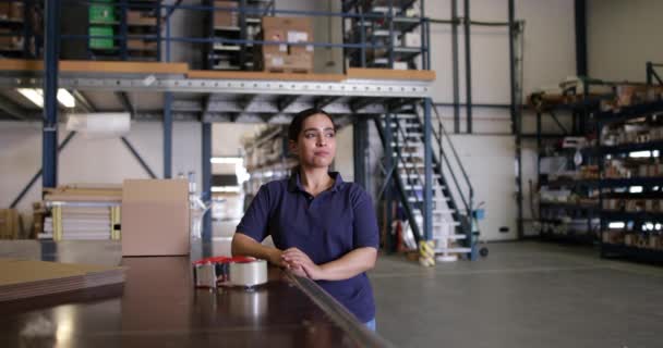 Portrait Femme Travaillant Dans Entrepôt Emballage — Video