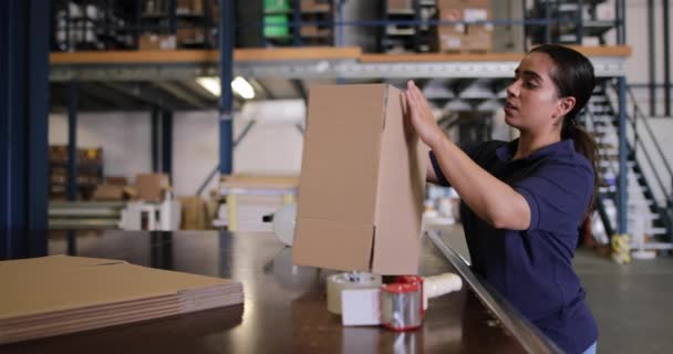 Frauen Arbeiten Verpackungslager — Stockvideo