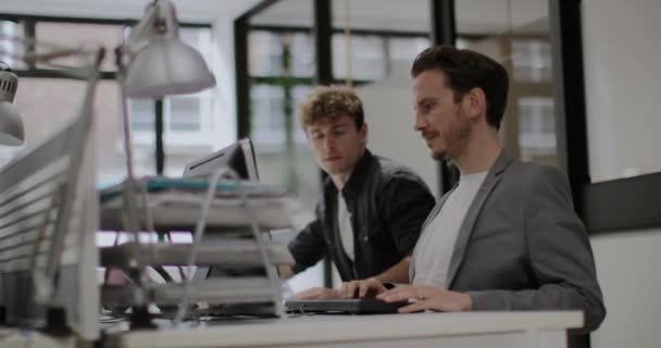 Collega Samenwerken Aan Een Project — Stockvideo