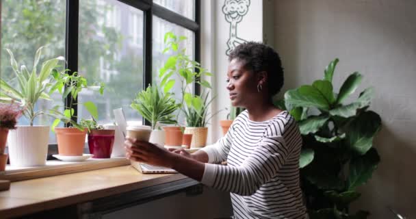 カフェで働くフリーランスのアフリカ系アメリカ人実業家 — ストック動画