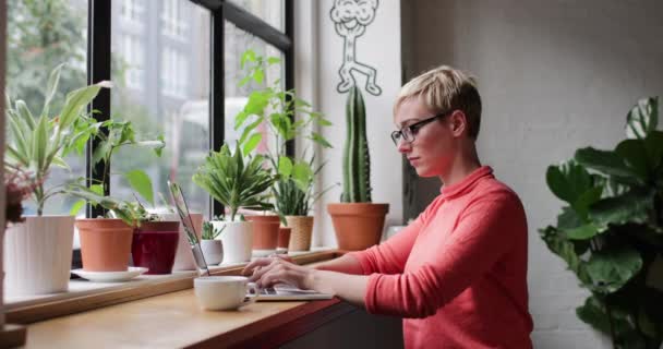 Empresária Freelance Trabalhando Café — Vídeo de Stock
