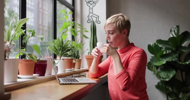 Frilans Forretningskvinne Som Jobber Kafe – stockvideo