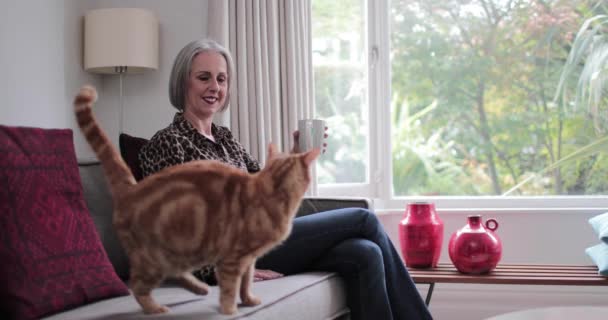 Madura Adulta Hembra Relajándose Casa Con Gato — Vídeos de Stock