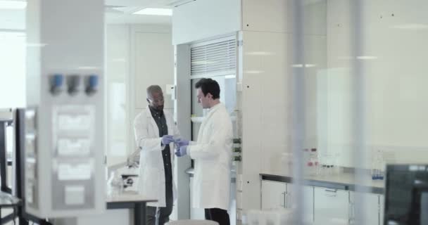Ученые, работающие вместе в лаборатории — стоковое видео