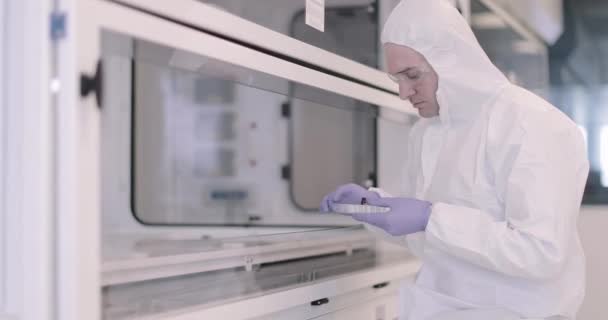 Wissenschaftler schaut sich Probe im Labor an — Stockvideo
