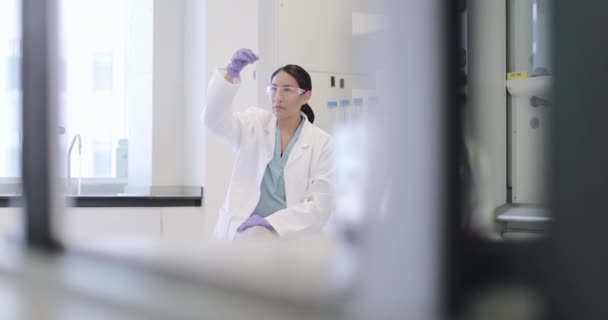 Vrouwelijke wetenschapper kijkend naar reageerbuis in een laboratorium — Stockvideo