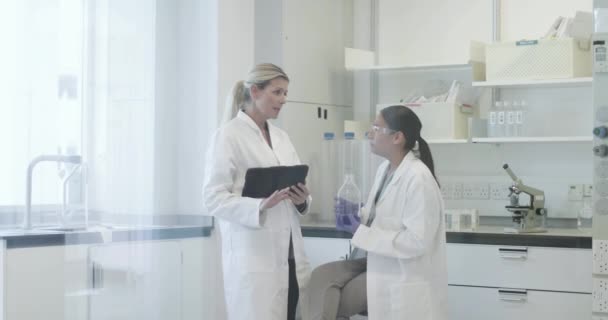 Two female scientists analyzing data on digital tablet — Stock Video
