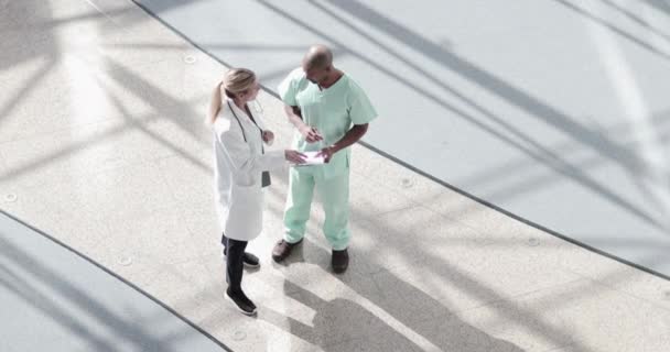 Kopfschuss von Medizinern bei Ergebnisdiskussion in einem Krankenhaus — Stockvideo