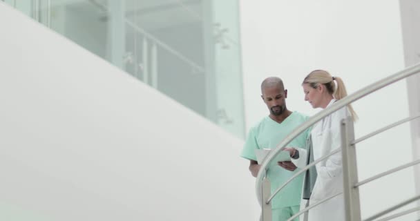Profesionales médicos discutiendo resultados en un hospital — Vídeos de Stock