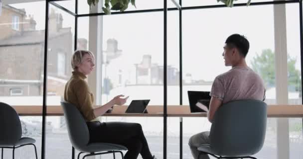 Freelancers working in a cafe — 비디오