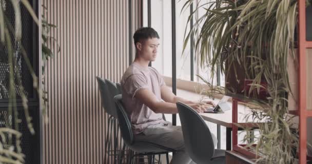 Obchodník na volné noze pracující v kavárně — Stock video