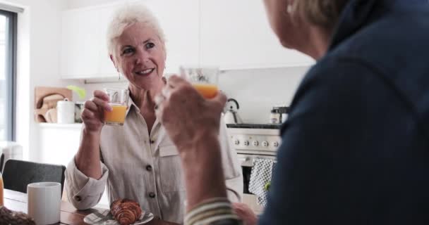 Mature lesbian couple looking at digital tablet at breakfast — Stock Video