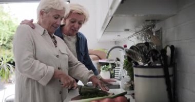 Olgun lezbiyen çift evde birlikte yemek pişiriyor.