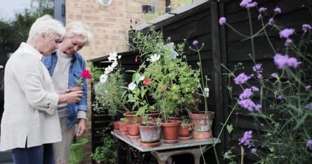 Зрелая лесбийская пара в саду вместе — стоковое видео