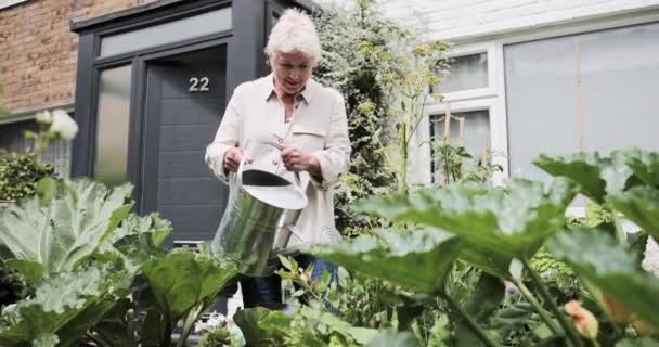 Maduro feminino rega jardinagem — Vídeo de Stock