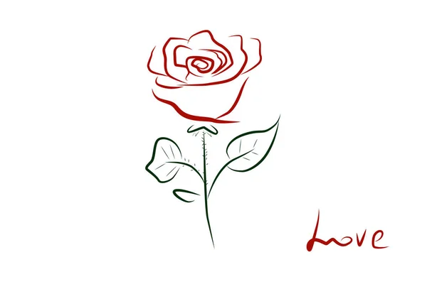 Rosa Roja Sobre Fondo Blanco Vector Rose Líneas Simples Rosa — Archivo Imágenes Vectoriales
