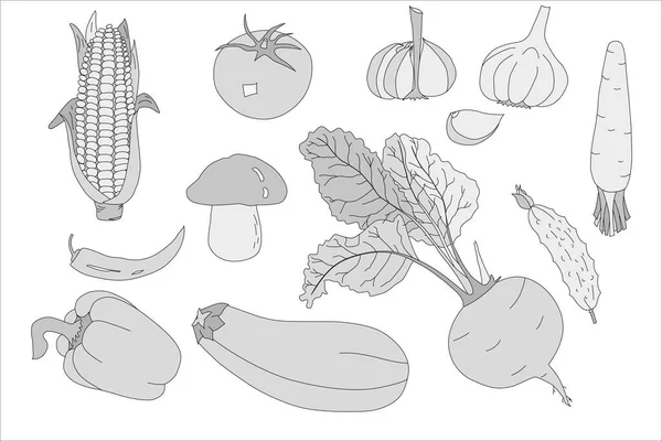 Szkic Temat Warzyw Tło Warzyw Projektowania Wektor — Wektor stockowy