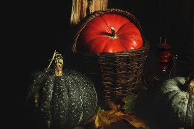 Balkabağı, gaz lambası ve siyah arka planda bir sepet. Hasat. Şükran Günü. Duvar Kağıdı