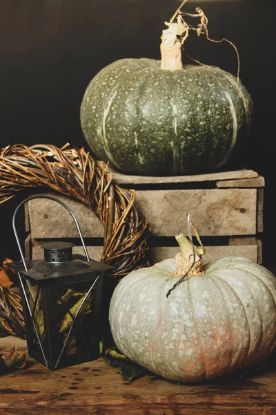 Pumpkins, lamp and wreath on a black background. Harvesting. Thanksgiving Day. Wallpaper