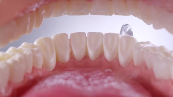 흰 피이 트 위에서 치아를 청소하는 물푸레 기 — 비디오