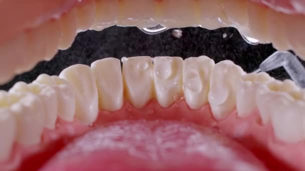 Brosse à eau nettoyage des dents sur noir 120 fps — Video