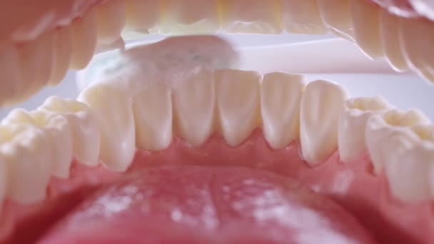 Vnitřní pohled na čištění zubů — Stock video