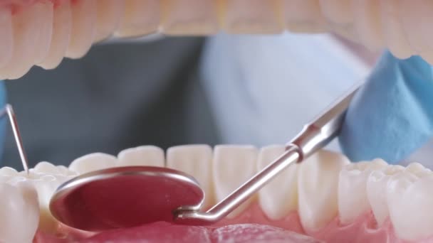 Dentista inspeciona pacientes dentes com sonda e espelho — Vídeo de Stock