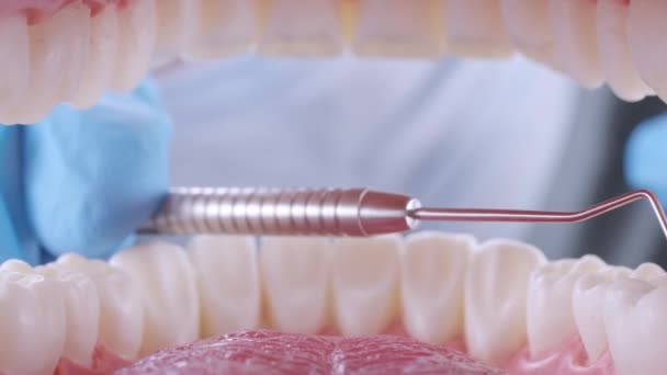 El dentista inspecciona los dientes de los pacientes con sonda y espejo — Vídeo de stock