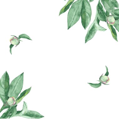 Yeşil sulu yapraklardan oluşan dikdörtgen bir çerçeve sulu boya. Yapraklar ve açılmamış şakayık tomurcukları.