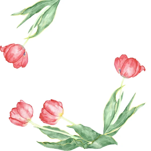 Квіти Червоних Тюльпанів Обрамляють Акварелі Рама Квітів Червоних Тюльпанів Акварелі — стокове фото