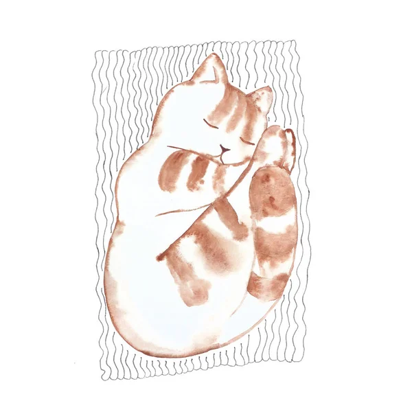 一只蓬松的小猫躺在一条带条纹的地毯上 水彩画和衬里 — 图库照片