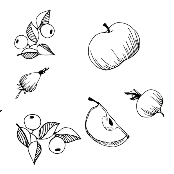 Seth Tuschekritzelskizze Herbst Hagebutten Äpfel Beeren Blätter — Stockvektor