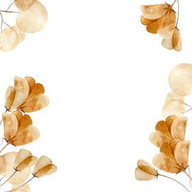 Kenarlarında çerçeve var. Kurumuş çiçeklerin bitkisi. Suluboya ile yapıldı.