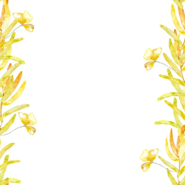 Çerçeve Kenarları Pürüzsüz Sarı Yapraklı Kurumuş Çiçekli Bitkisel Dallar Suluboya — Stok fotoğraf